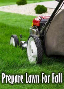 Prepare Lawn For Fall