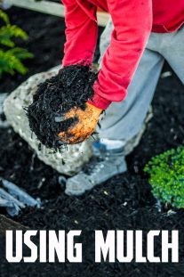 Using Mulch