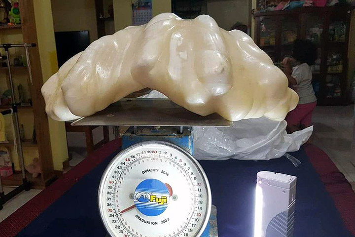 Fisherman Found Giant Pearl Worth $100million!