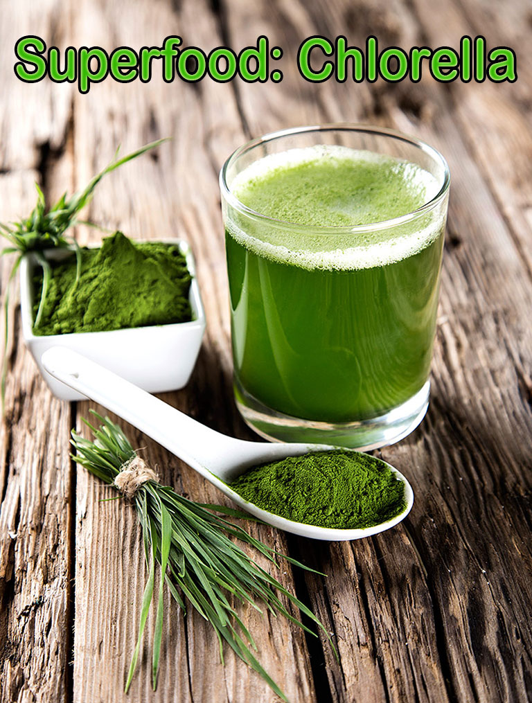 Superfood on the Rise: Top 5 Chlorella Benefits