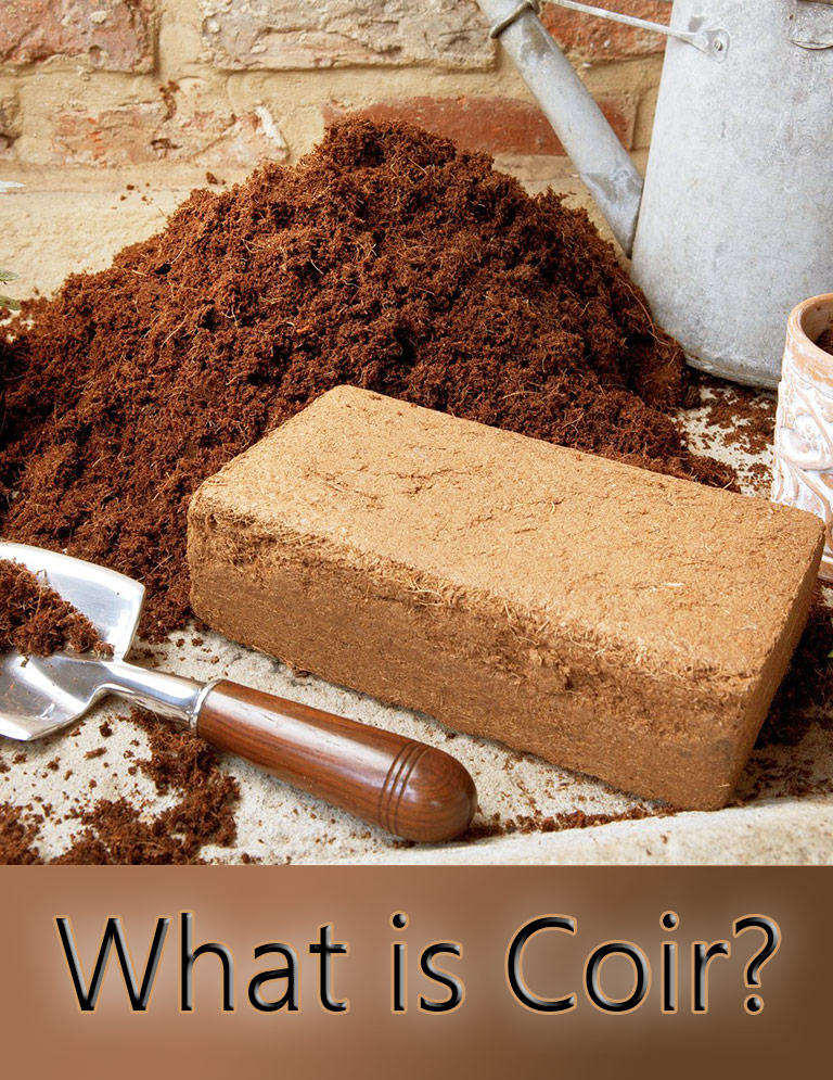 What is Coir and How to Use It in the Garden