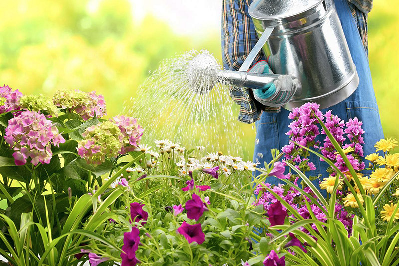 40 Top Gardening Tips and Tricks