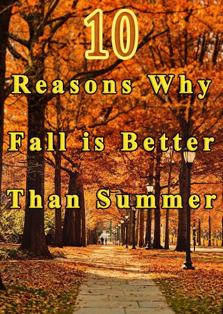 10 Reasons Why Fall is Better Than Summer