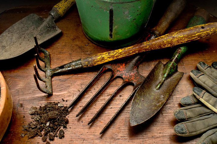 Gardening Tools Every Gardener Should Have