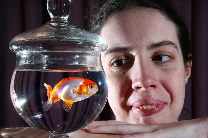 Brisbane woman pays $500 to save her $12 goldfish