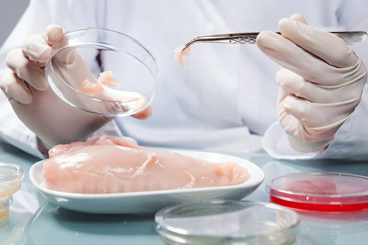 Animal Free SuperMeat:  Lab-Cultured Meat