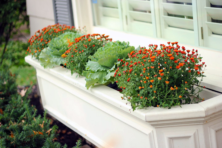 Outdoor Decoration - Fall Flower Boxes Ideas