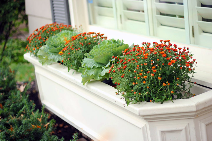 Outdoor Decoration - Fall Flower Boxes Ideas