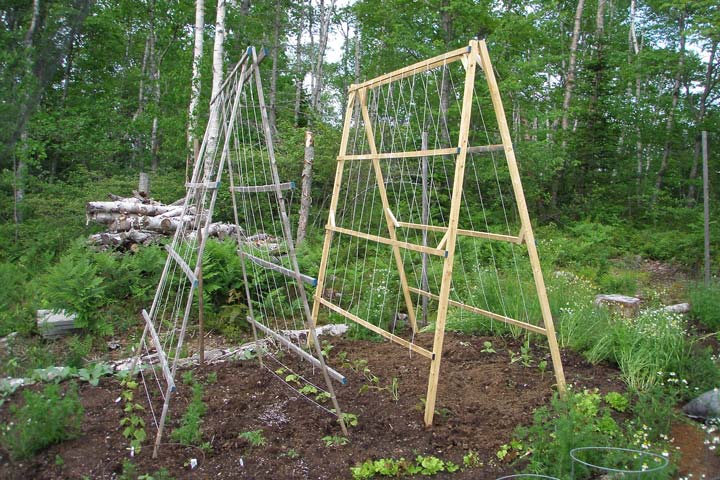 A-Frame Structures in the Vegetable Garden