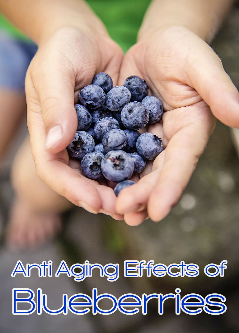 Anti Aging Effects of Blueberries