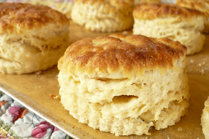 Best Flaky Buttery Biscuits Recipe