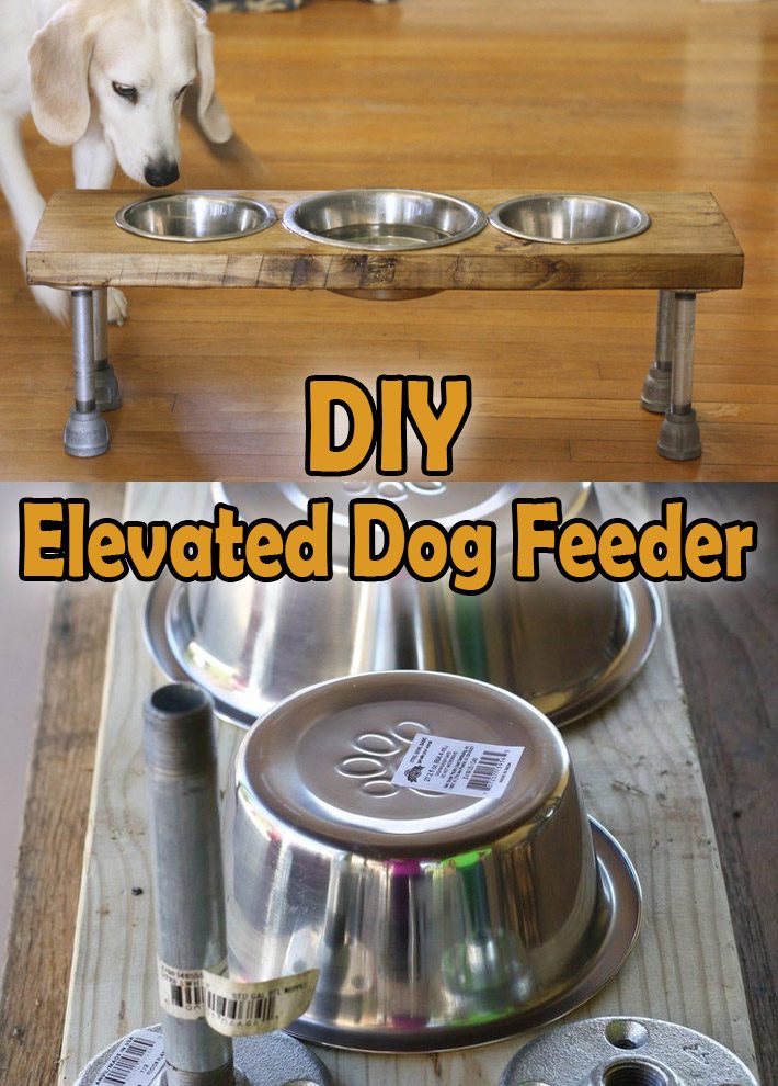 DIY – How to Make an Elevated Dog Feeder