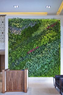 Living Wall Vertical Garden Benefits