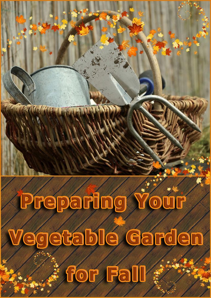 Preparing Your Vegetable Garden for Fall