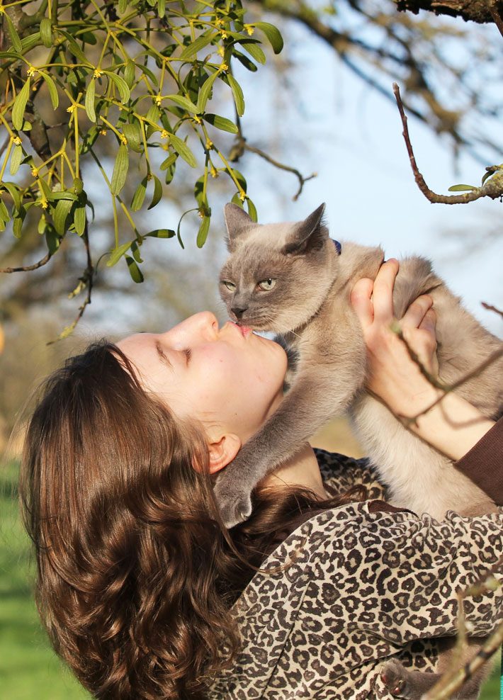 Where Your Cat Wants to Be Petted, According to Science