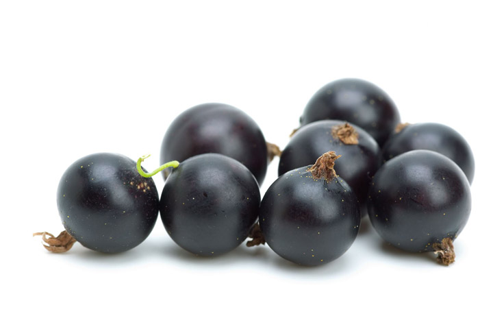 Black Currants Nutritional Facts  – Vitamin C Bombs