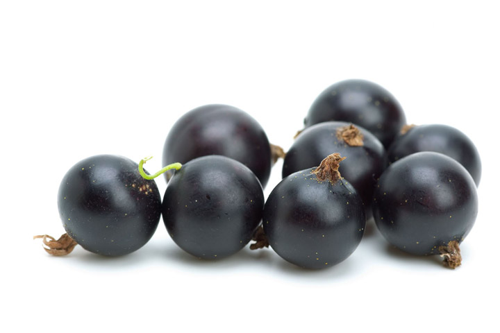 Black Currants Nutritional Facts - Vitamin C Bombs