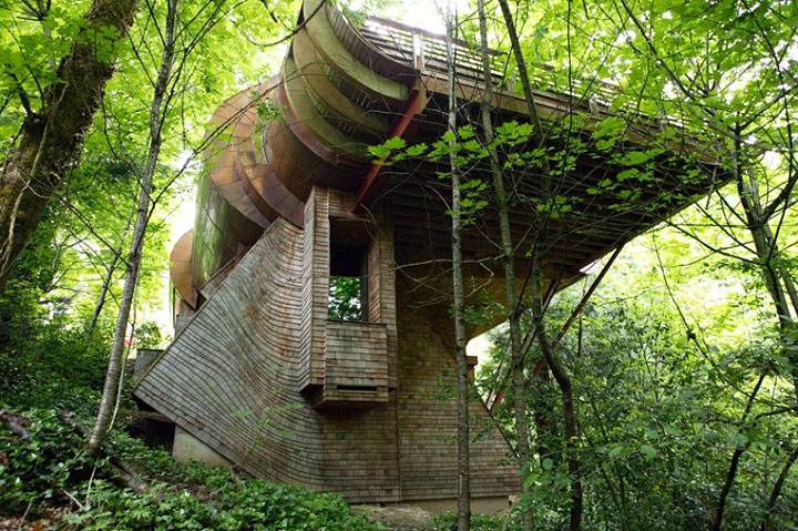 Organic Architecture: Wilkinson Residence Treehouse