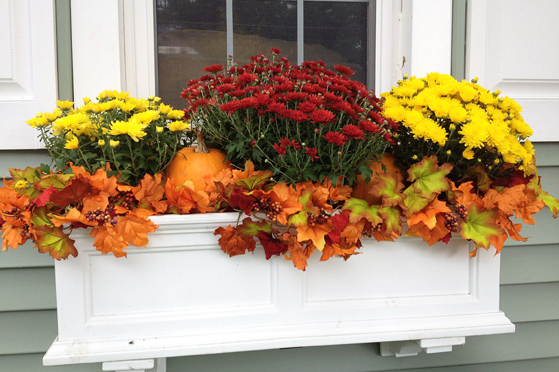 Outdoor Decoration – Fall Flower Boxes Ideas