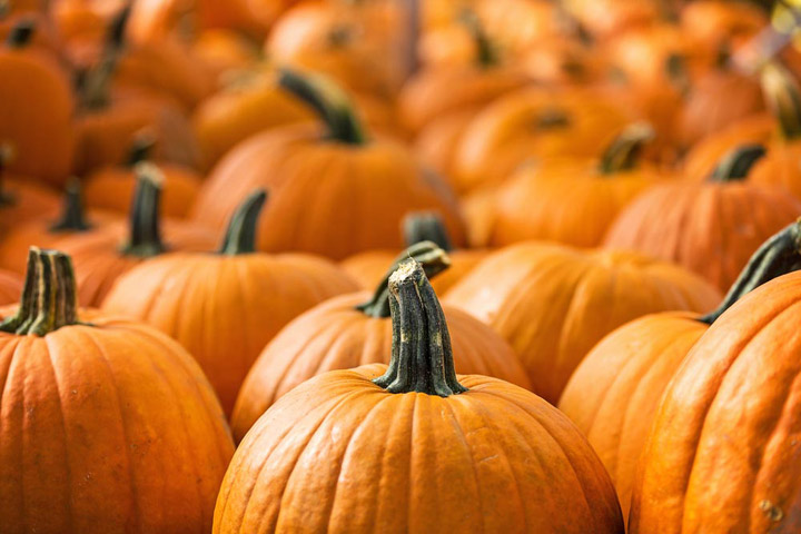 Pumpkin 8 Impressive Health Benefits