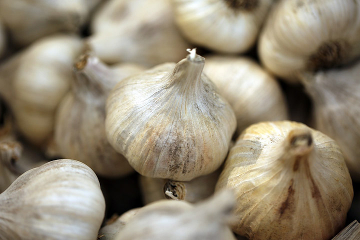 Garlic Varieties - What Type to Plant and How