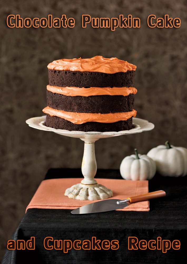 Chocolate Pumpkin Cake and Cupcakes Recipe