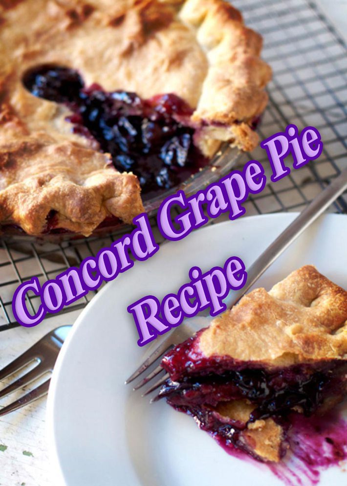 Concord Grape Pie Recipe