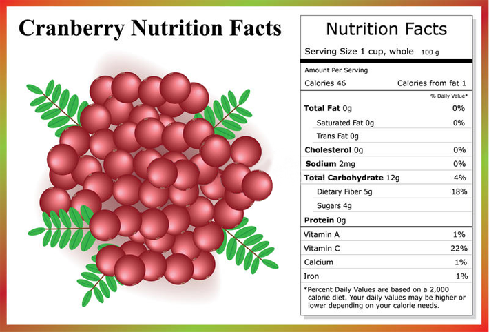 Cranberries Nutrition Facts and Health Benefits
