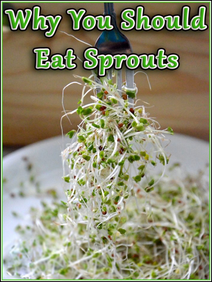 Healthy Diet – Why You Should Eat Sprouts