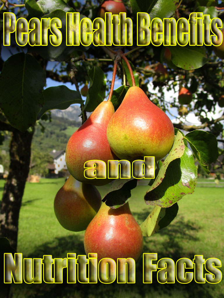 Pears Health Benefits and Nutrition Facts