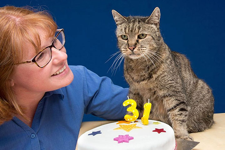 Nutmeg is the Oldest Living Cat in the World at 31