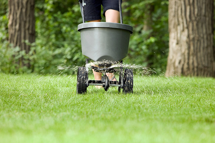 What You Need to Know About Lawn Food