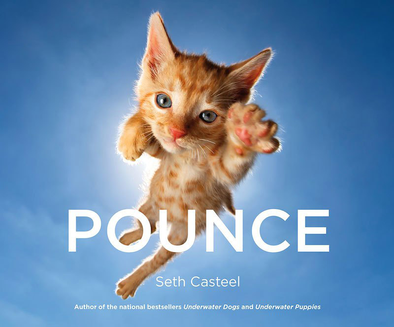 POUNCE – Photo Book of Jumping Kittens