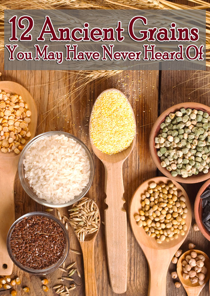 Quiet Corner12 Ancient Grains You May Have Never Heard Of Quiet Corner
