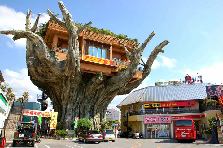 Naha Harbor Diner – Crazy Banyan Treehouse Cafe