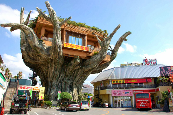 Naha Harbor Diner - Crazy Banyan Treehouse Cafe