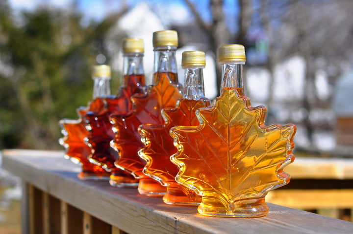 Everything You Need to Know About Maple Syrup