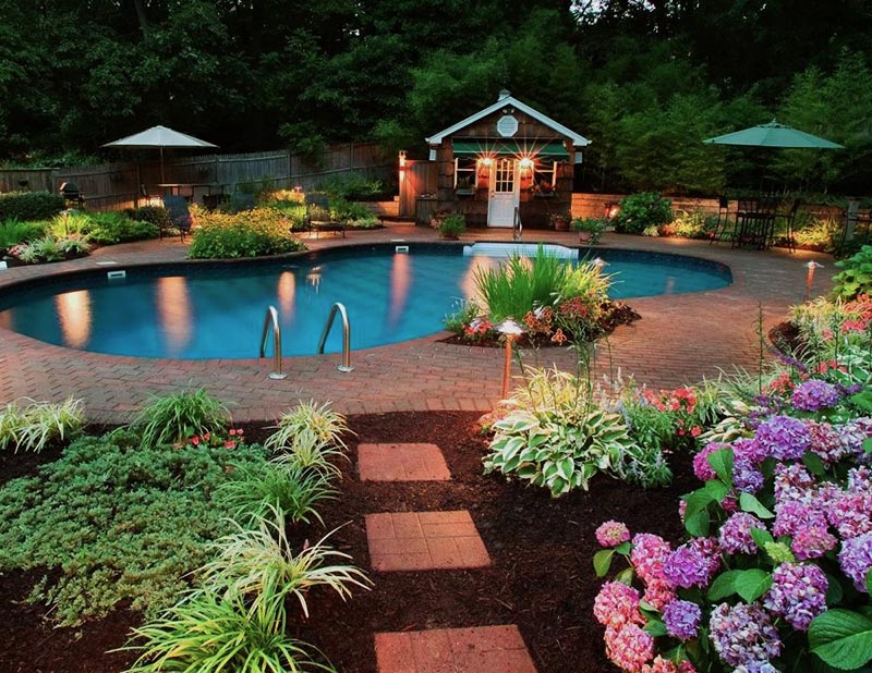 Amazing Backyard Ideas