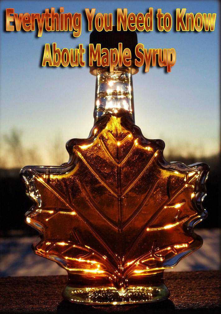 Everything You Need to Know About Maple Syrup