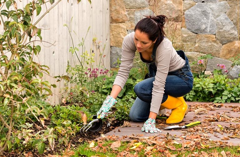 Quiet CornerFall Flower Garden Clean Up Quiet Corner