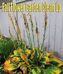 Fall Flower Garden Clean Up