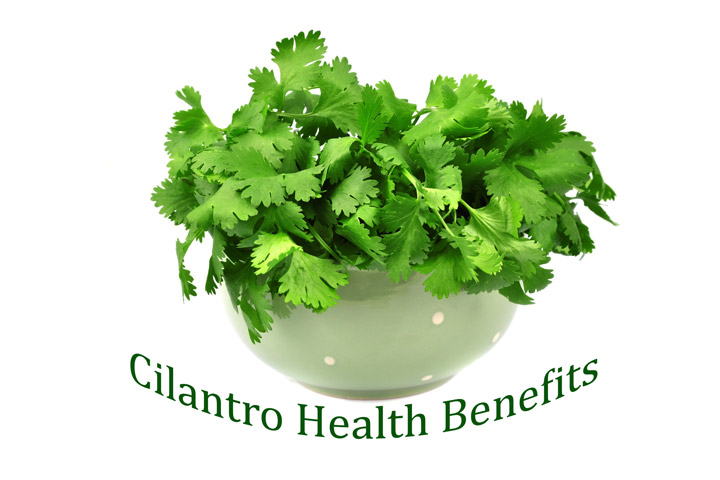 Cilantro Health Benefits