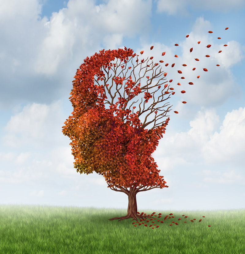 7 Early Signs of Alzheimer’s You Should Know