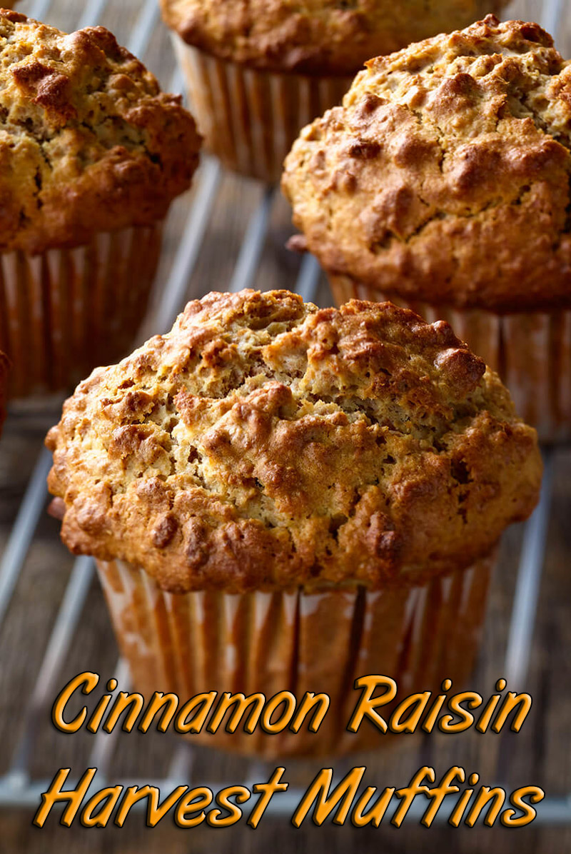 Cinnamon Raisin Harvest Muffins Recipe