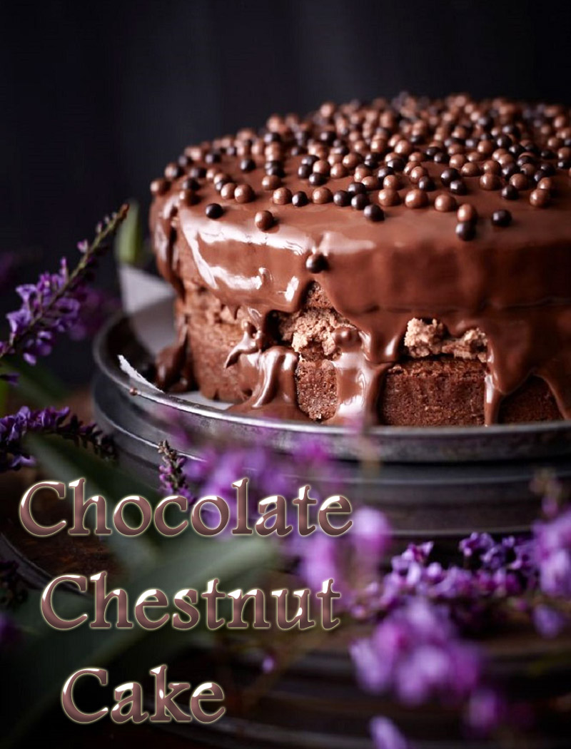 Dessert Recipes – Chocolate Chestnut Cake