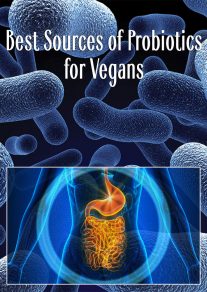 Best Sources of Probiotics for Vegans