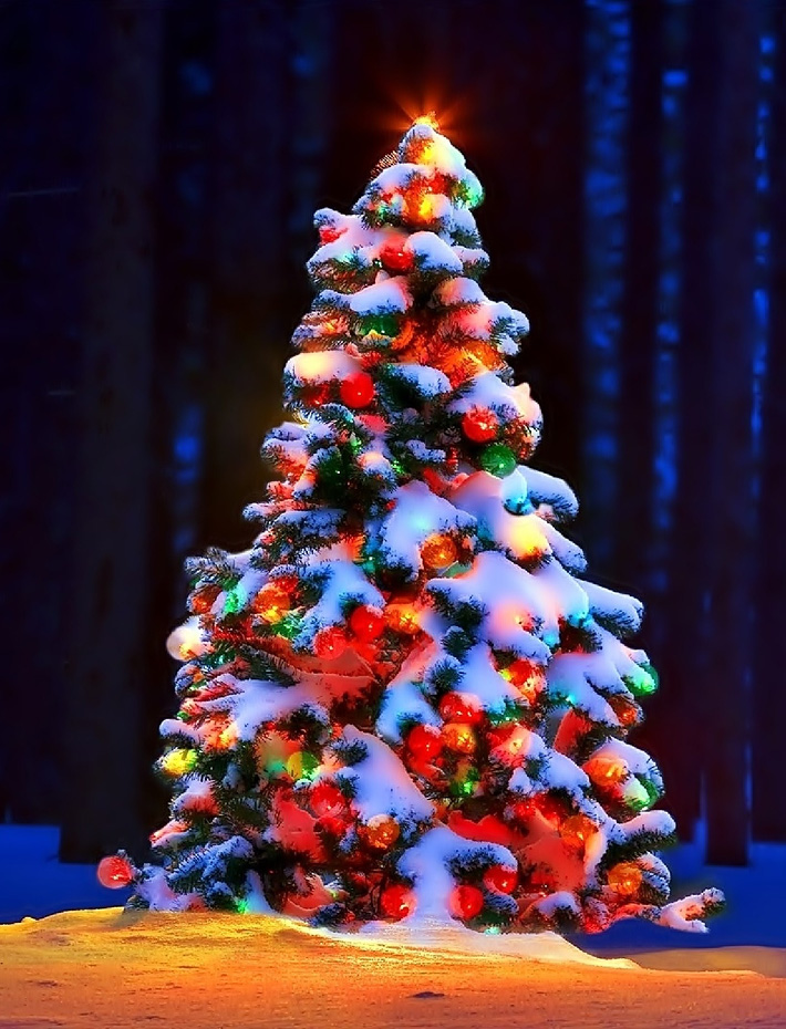 Quiet Corner:Outdoor Christmas Yard Decorating Ideas - Quiet Corner