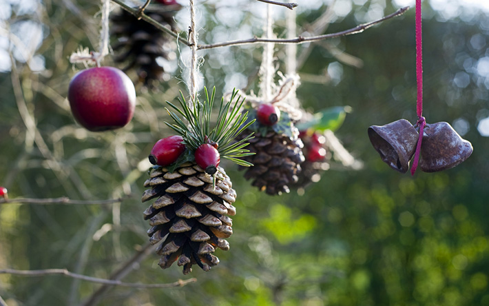 Outdoor Christmas Yard Decorating Ideas