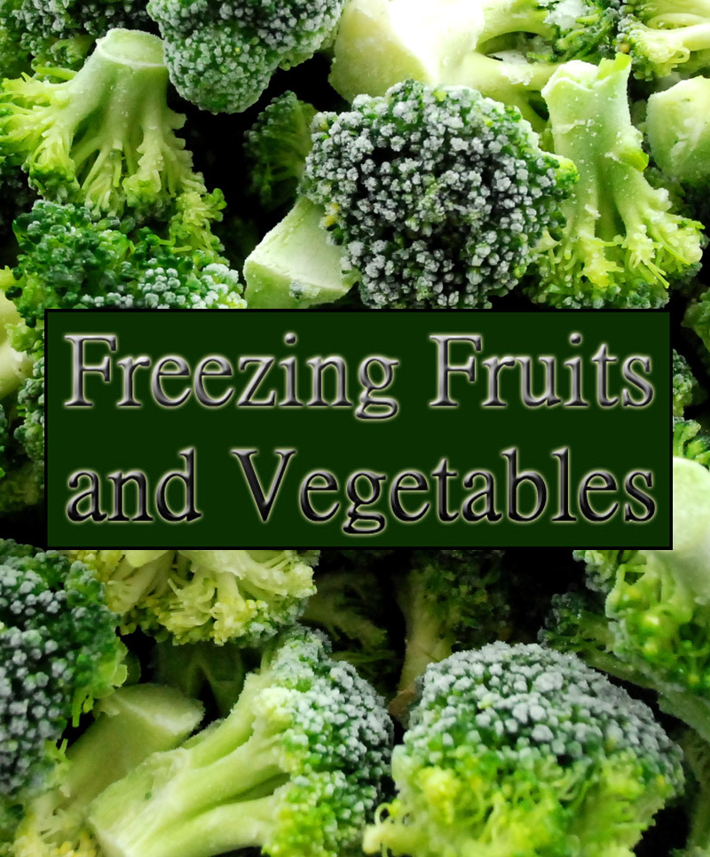 Guide to Freezing Fruits and Vegetables