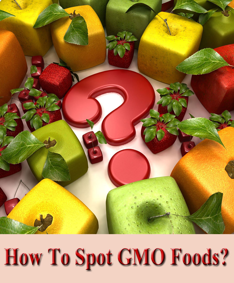 Learn How To Spot GMO Foods at the Grocery Store